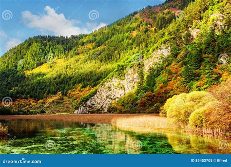 River With Crystal Clear Water Among Wooded Mountains And Rocks Stock