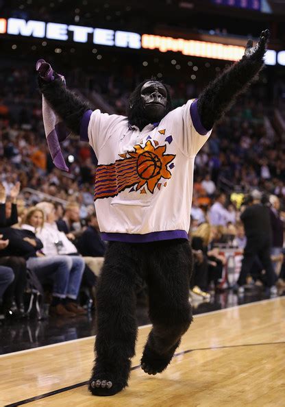 The Suns Gorilla Phoenix Suns Sportsmascots Wikia Fandom Powered