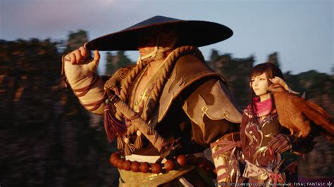 And these days it simply makes no sense to alter the core aspects of a game too much if you're going to be playing with other people that have no mods installed, and the servers. Final Fantasy XIV: Stormblood (Game) | GamerClick.it