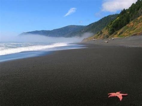 Black Sands Beach Shelter Cove Ca Address Top Rated Attraction