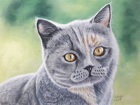 Custom Cat Portrait In Soft Pastel By Artist Susan Kerrigan Harris