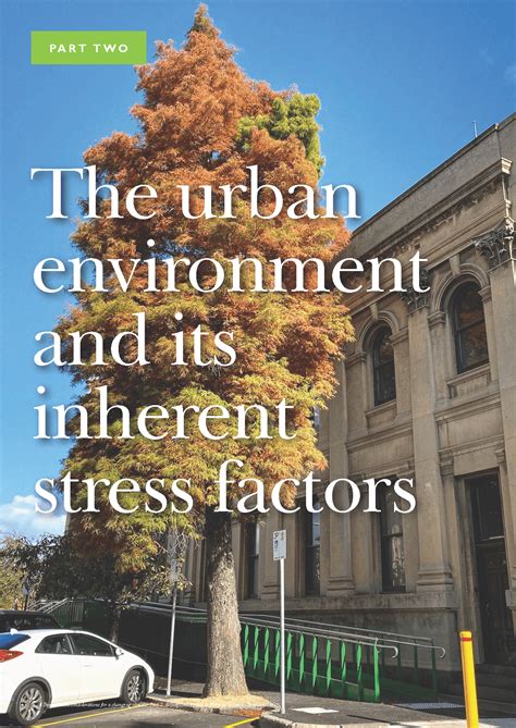 The Urban Environment And Its Inherent Stress Factors Treelogic