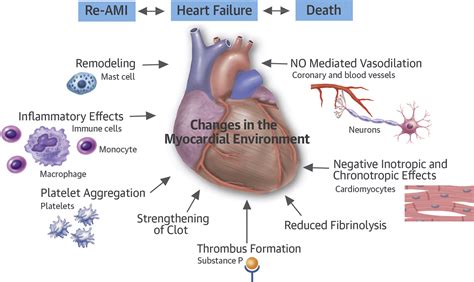 pro substance p for evaluation of risk in acute myocardial infarction journal of the american