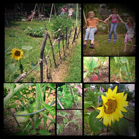 Home Grown Hearts Academy Homeschool Blog Garden Unit Study