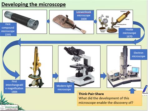 Frise Chronologique Du Microscope