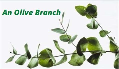 The Olive Branch A Symbol Of Peace Hubpages