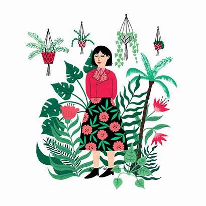 Jungle Illustration Maguire Holly Drawing Plants Decorative