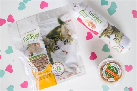 A Purrfect Valentine For Your Cats Brooklyn Farm Girl