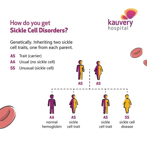What Is Sickle Cell Disease Sickle Cell Anemia World Sickle Cell