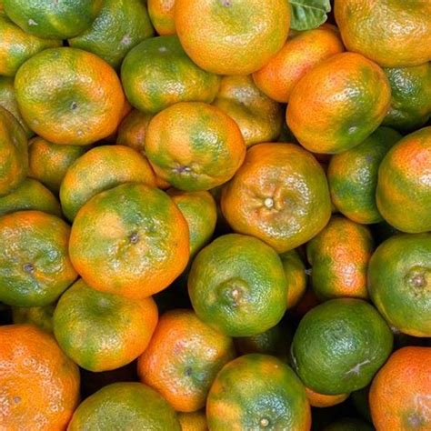 Mandarina-arrayana