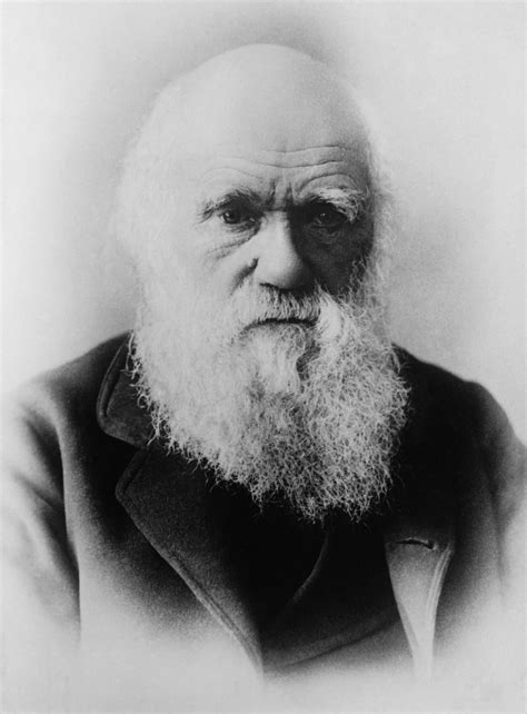 Последние твиты от charles darwin (@cdarwin). Darwin Didn't | ChristopherEppig