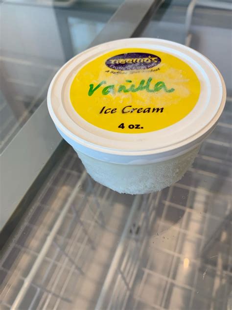 Vanilla Ice Cream Culinary Creations