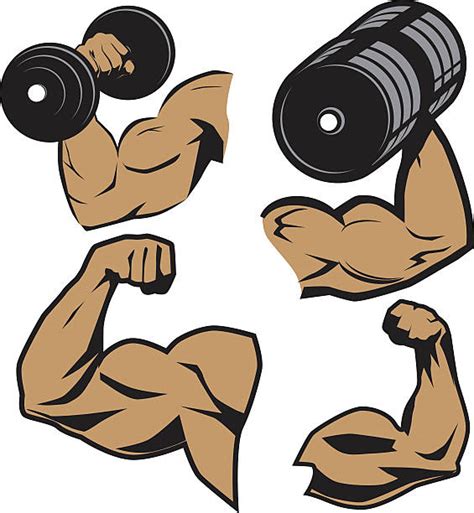 19 Bicep Muscle Clip Art