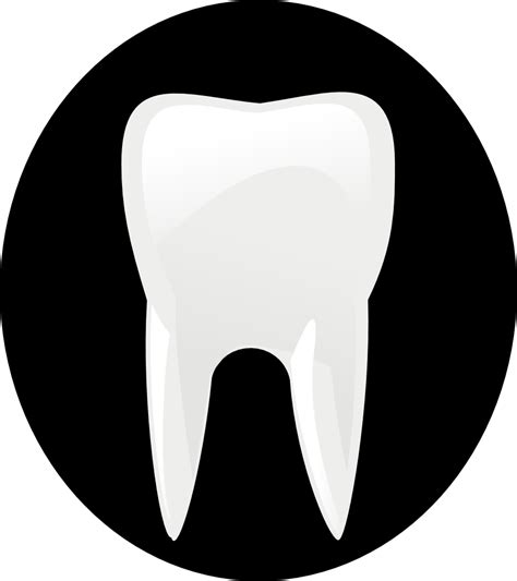Onlinelabels Clip Art Tooth