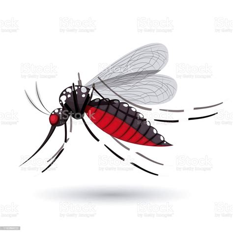 Infectious Gnat Design Stock Illustration Download Image Now Animal