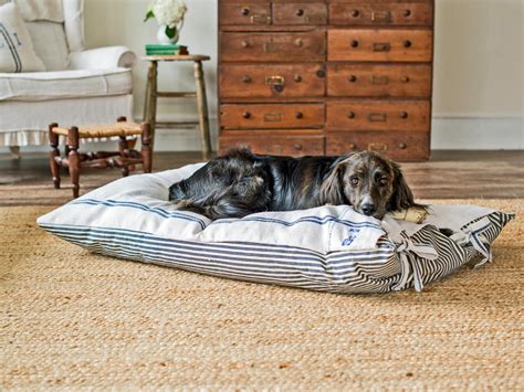 Pet Projects Make A Diy Dog Bed Hgtv