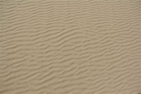 Seamless Sand Dune Texture