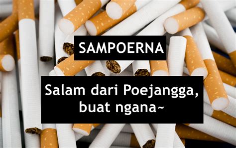 25+ Kata Lucu Rokok Sampoerna - Chika Ciku