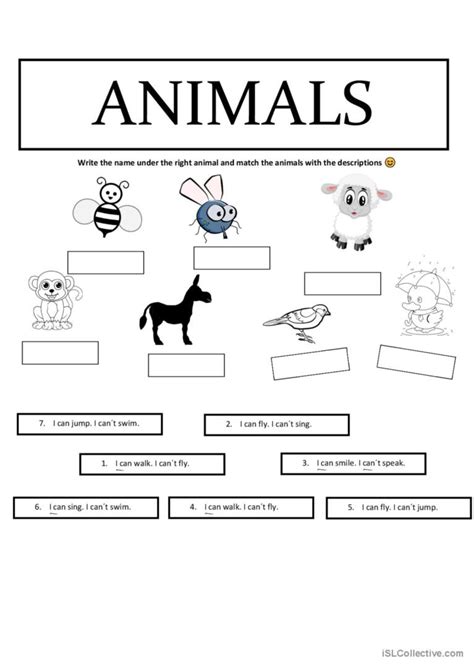 Animals Can Can´t English Esl Worksheets Pdf And Doc