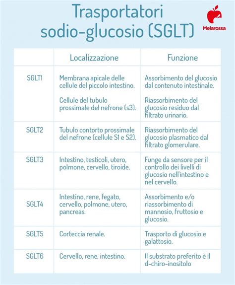 Glucosio Cosè Composizione Chimica Come Viene Metabolizzato