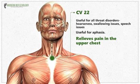 Acupressure Point For Relieves Dry Cough In 2020 Acupressure Points