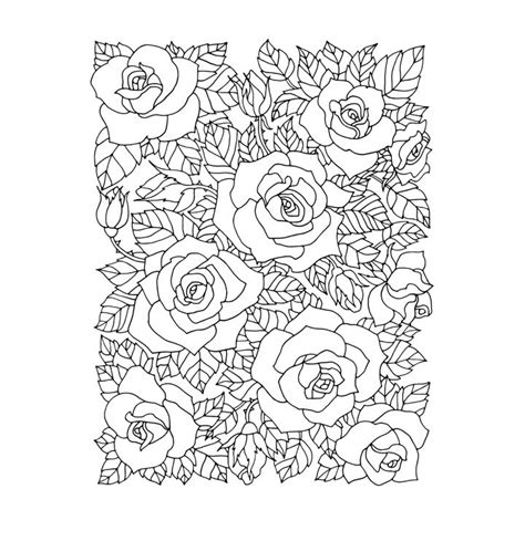 Rose Amarartes Desenhos Com Linhas Variadas Para Colorir