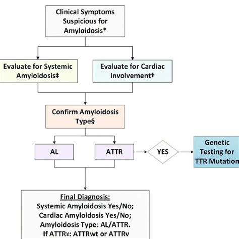 Characteristic Appearance Of Cardiac Amyloidosis On Echocardiography