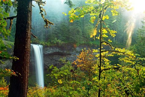 Fall Foliage in the Pacific Northwest Road Trip Itinerary - ROAMERICA
