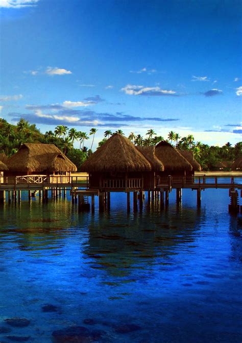 Mooreafrench Polynesia Lugares Paradisiacossss Pinterest