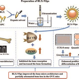 Schematic Representation Of The Preparation Procedure And Mechanism For