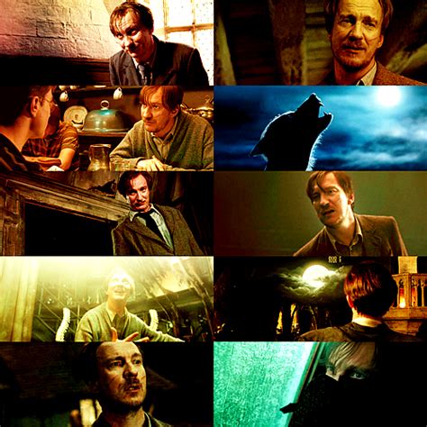 Harry Potter Howlers {remus Lupin David Thewlis} 14 He Is A Ted Teacher With A Rare
