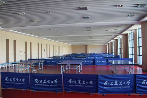 乒乓球馆 南京农业大学体育部