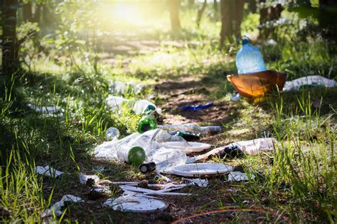 Thailand Nationalpark Schickt Müll An Camper Zurück