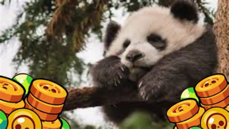 Panda Nita Gem Grab Brawl Stars Youtube