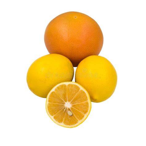 Orange And Lemons Royalty Free Stock Image Image 22244626