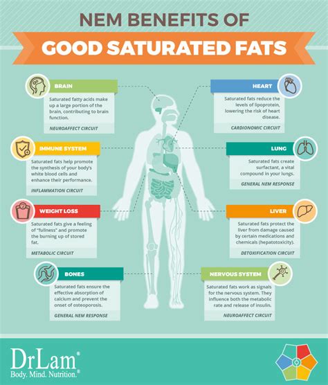 Saturated Fat Isnt All Bad Learn The Truth About Good Saturated Fats