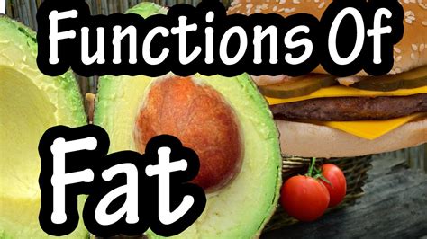 There are two types of fat: Functions Of Fat - How The Body Uses Fats - Importance Of ...