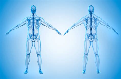 3d Render Of Human Body And Skeleton Stock Photo Download Image Now