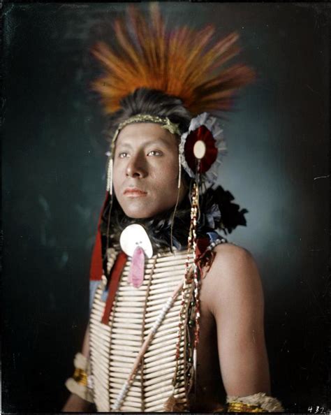Incredible 19th Century Portraits Of Native Americans Are Brought To
