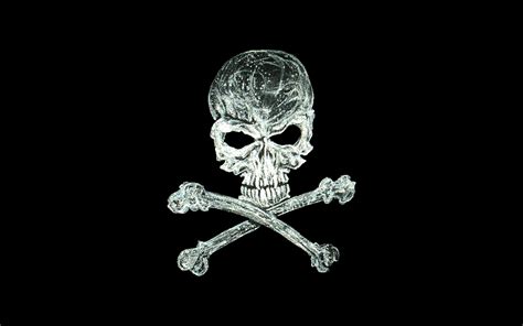 Thin Blue Line Skull Wallpaper Shardiff World