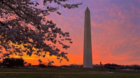 Le Meilleur Guide De Voyage Pour Washington Dc Hellotickets