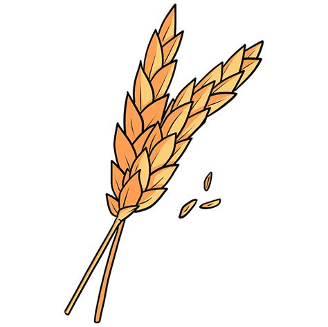 How To Draw Wheat Really Easy Drawing Tutorial
