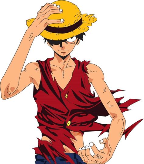 Monkey D Luffy Character Review Anime Amino