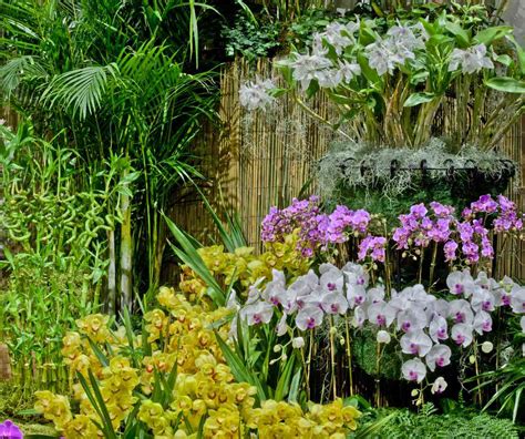 Tropical Flower Garden Design Ideas