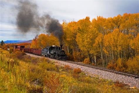 Best Places To View Fall Foliage In New Mexico