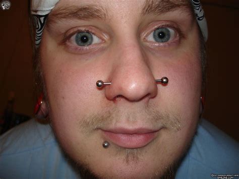 Introduction To The Types Of Nostril And Septum Nose Piercings Tatring
