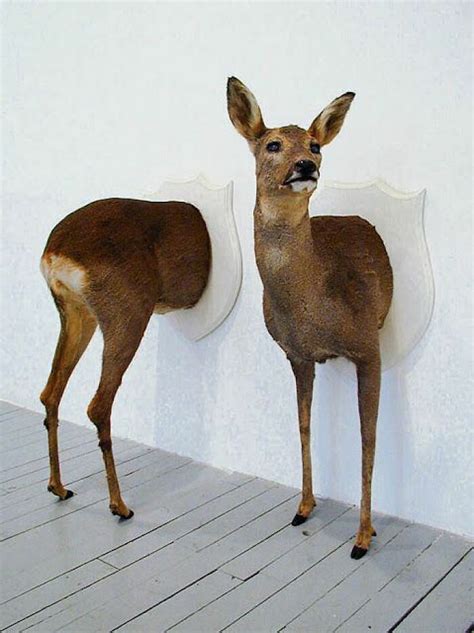 This Facebook Group Shares Pictures Of Bad Taxidermy And Here Are 61