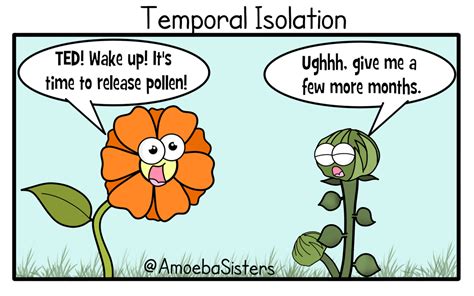 All Of These Reproductive Isolation Types Can Lead To Speciation 2 Of