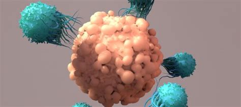 Chimeric Antigen Receptor T Cell Therapy Creative Biolabs Car T Blog