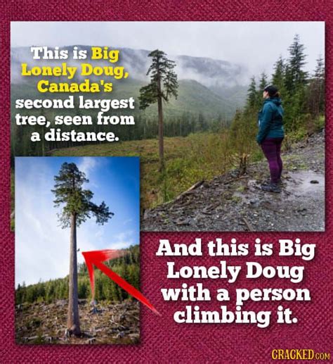 28 Things That Are Way Bigger Or Smaller Than You Thought Thoughts